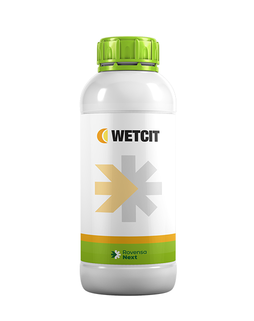 Wetcit