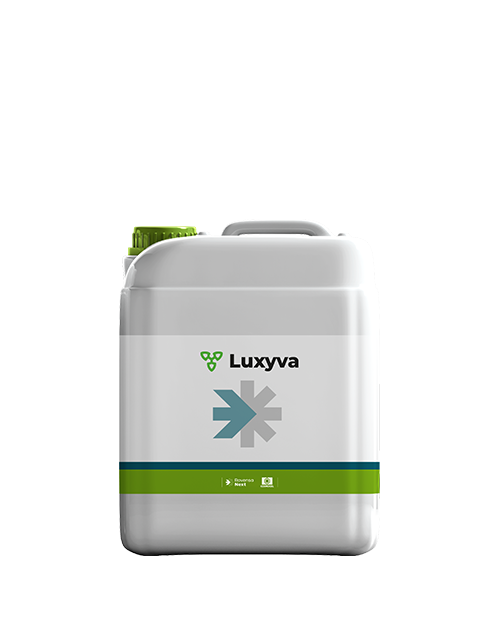 Luxyva