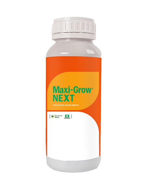 Maxi-Grow-Next